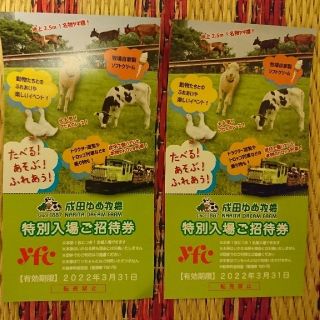成田ゆめ牧場 2枚　ペアチケット(遊園地/テーマパーク)