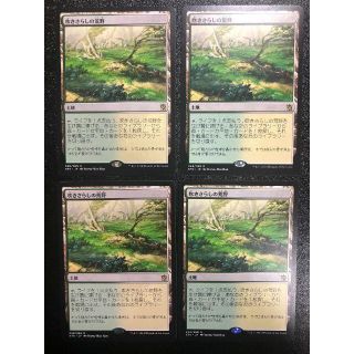 マジックザギャザリング(マジック：ザ・ギャザリング)のMTG 吹きさらしの荒野 (日 4枚)  KTK(シングルカード)