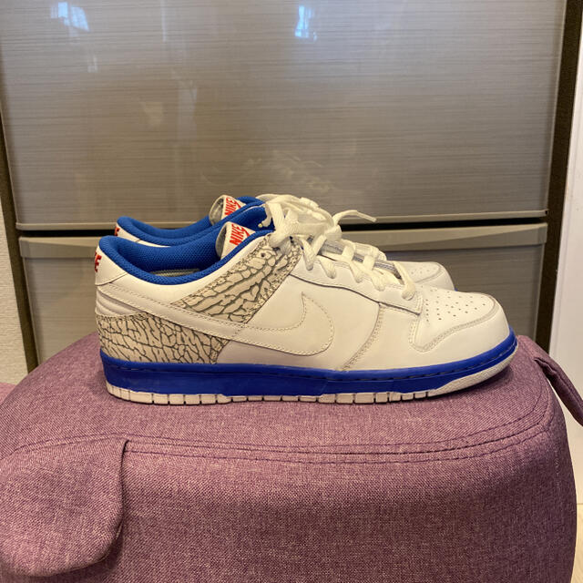 靴/シューズNIKE DUNK LOW Jpack 28.5cm aj3 新品未使用