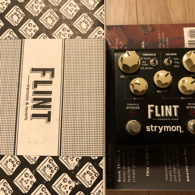 strymon FLINT