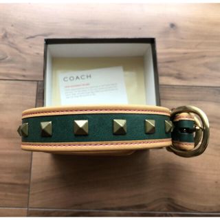 COACH 首輪 XL 2-②