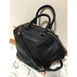 アレキサンダーワン(Alexander Wang)のか様専用☆Alexander Wang アレキサンダーワン EMILE エミール(ショルダーバッグ)