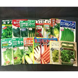 選べる野菜の種セット　おまけつき(野菜)