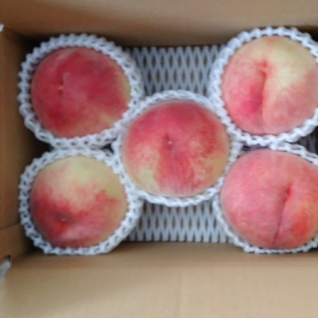 桃 果物 山梨県 ふくさんママ様専用 食品/飲料/酒の食品(フルーツ)の商品写真