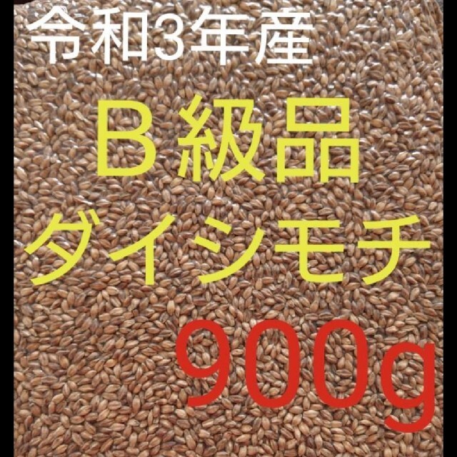 令和3年産 ダイシモチ 玄麦 食品/飲料/酒の食品(米/穀物)の商品写真