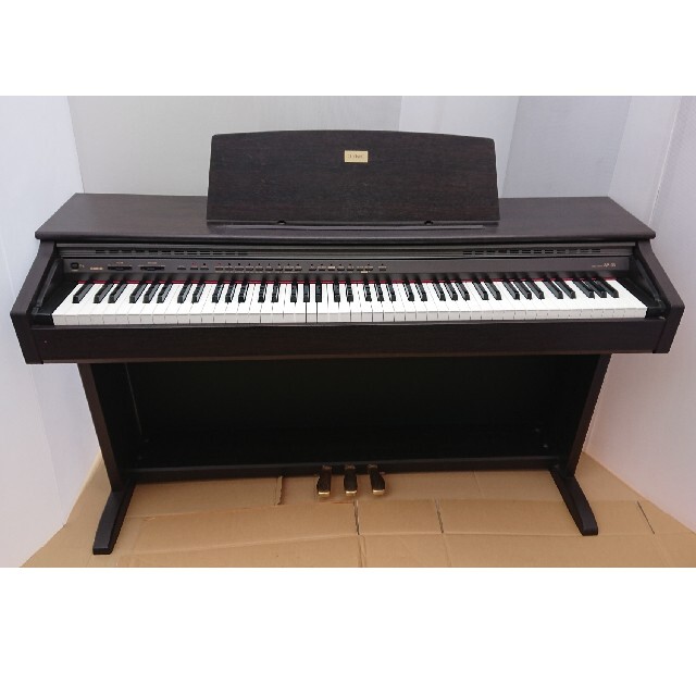 最適な価格 電子ピアノ、カシオ、セルビアーノ - 鍵盤楽器 - www.petromindo.com