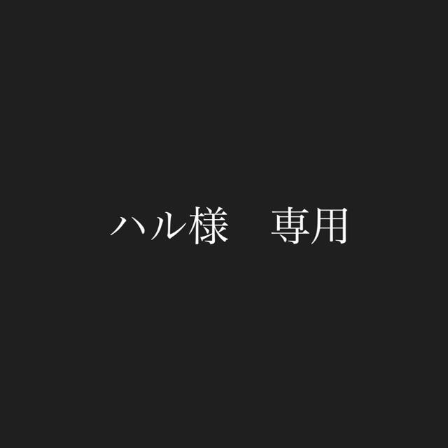ハル様 専用ページの通販 by T's shop|ラクマ
