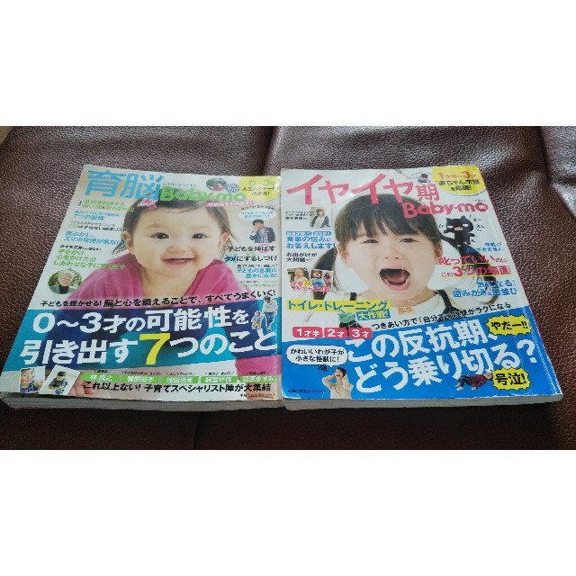 主婦と生活社(シュフトセイカツシャ)の育脳Ｂａｂｙ－ｍｏ 子どもを輝かせる！０～３才の可能性を引き出す  。2冊セット エンタメ/ホビーの雑誌(結婚/出産/子育て)の商品写真