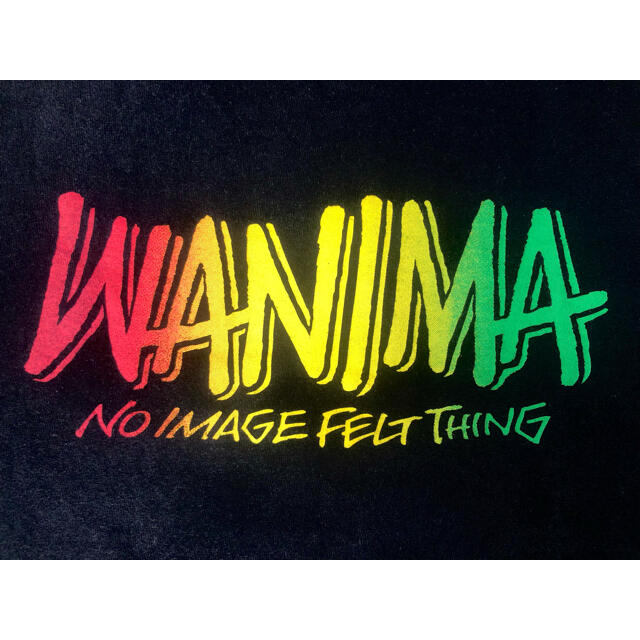 WANIMA Tシャツ　フェス　ライブTシャツ エンタメ/ホビーのタレントグッズ(ミュージシャン)の商品写真