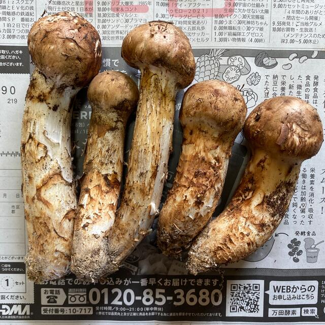 める様、専用ページです!の通販 by yu's SHOP|ラクマ