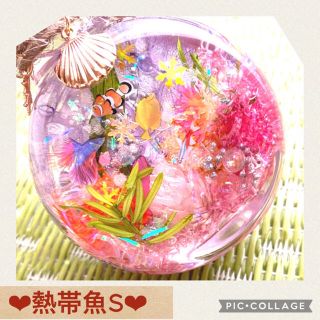 【熱帯魚】〜❄︎氷柱水晶in❄︎〜❤︎蓄光アクアリウム❤︎S Pink♪(プリザーブドフラワー)