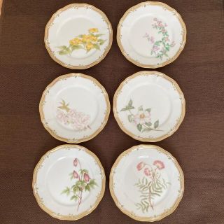 ノリタケ(Noritake)のノリタケ　ガラコンテッサ　直径18センチ　小皿　5枚セット(食器)