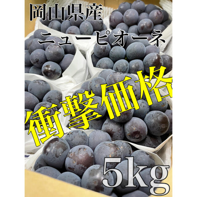 フルーツ大量入荷の為超お得価格！！岡山県産【ニューピオーネ】秀品　7〜8房 5kg！！