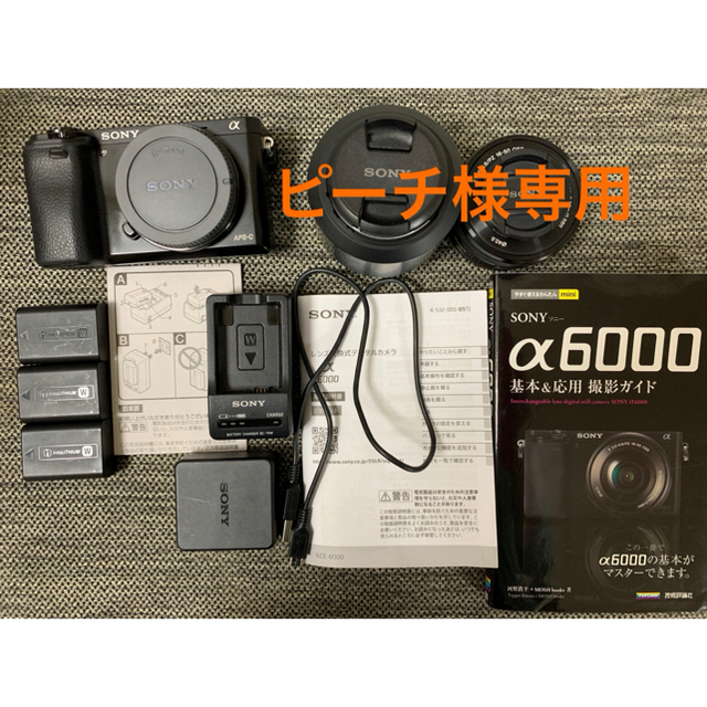 登場! SONY APSC レンズ2本セット α6000 SONY - ミラーレス一眼