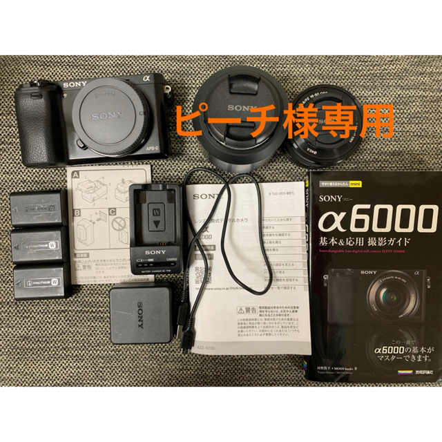 春のコレクション SONY - APSC レンズ2本セット α6000 SONY ミラーレス