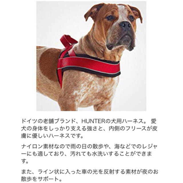 破格値下げ】 ハンター 犬用 ハーネス ディヴォ 52-68 S-M 中型犬 反射