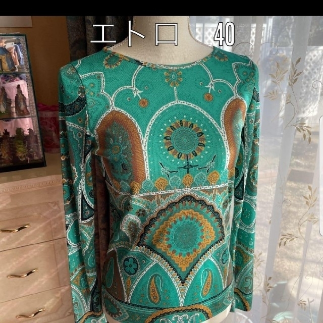 ETRO(エトロ)の🌟エトロのトップス🌟サイズ 40 レディースのトップス(カットソー(長袖/七分))の商品写真