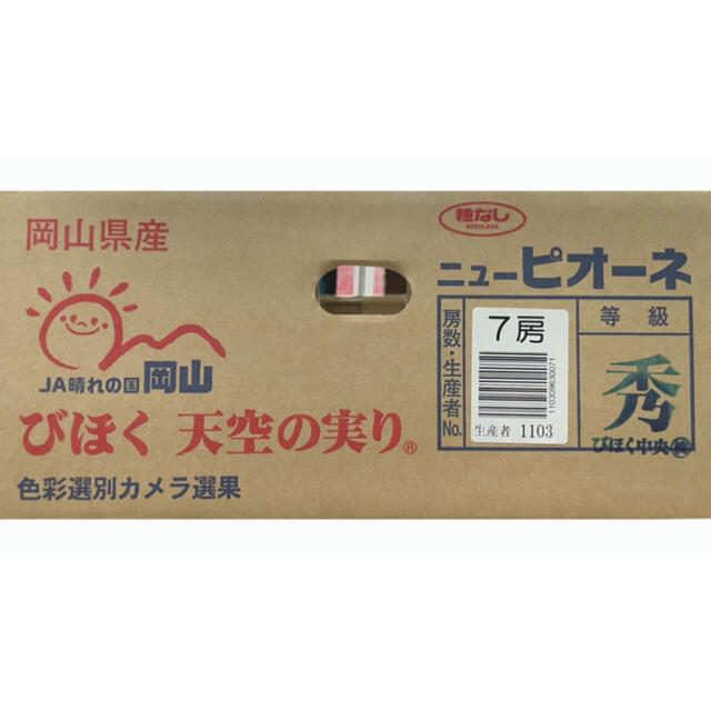 大量入荷の為、衝撃超お得価格！！岡山県産【ニューピオーネ】優品7〜8房 5kg