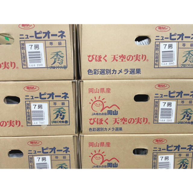 大量入荷の為超お得価格！！岡山県産【ニューピオーネ】秀品　7〜8房 5kg！！