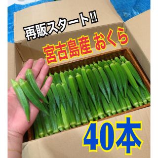 40本　宮古島産　おくら　オクラ(野菜)