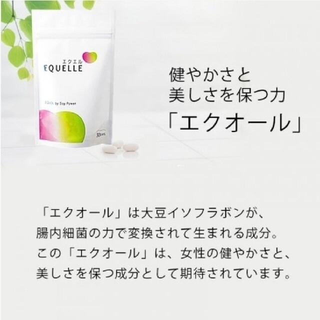 大塚製薬 エクエル 30日分 120粒 2袋 2