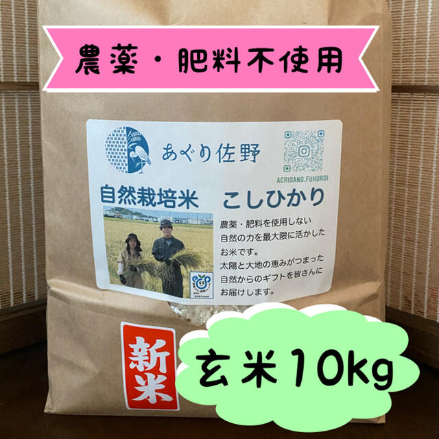 食品/飲料/酒令和3年新米 自然栽培米 玄米10kg 農薬肥料不使用 コシヒカリ