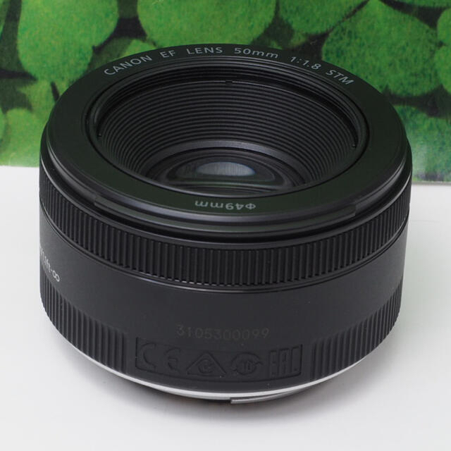 【超美品】キヤノン EF50mm 単焦点 STMで動画もバッチリ♪ 神レンズ