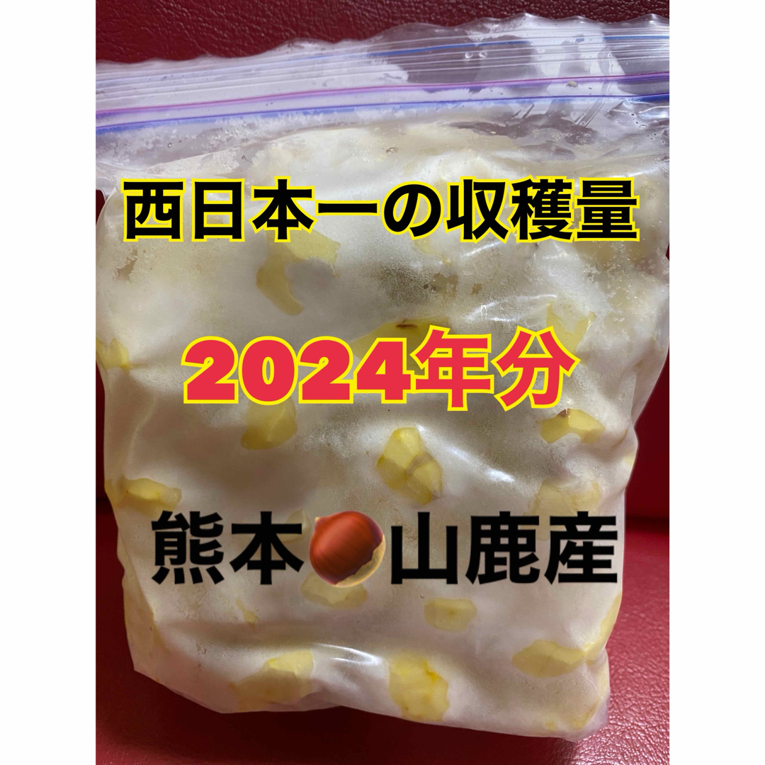 熊本県産　山鹿　和栗　むき栗 食品/飲料/酒の食品(野菜)の商品写真