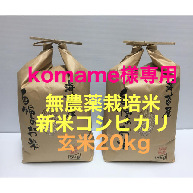 即納！最大半額！ 【新米】宮崎県産 高冷地米 コシヒカリ 新米 無農薬 無農薬コシヒカリ玄米20kg(5kg×4)令和3年産 玄米 komame様専用 20kg - nikutaku.com