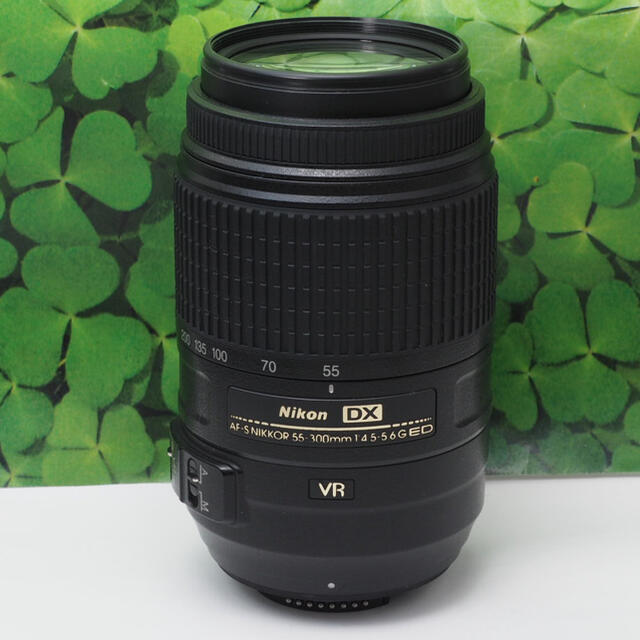 Nikon - 【美品】ニコンAF-S DX 55-300mm 超望遠 ❤️手振れ補正