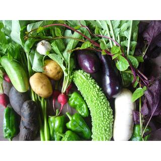 野菜詰め合わせ　８０サイズ（７０㎝箱）　農薬・化学肥料不使用(野菜)