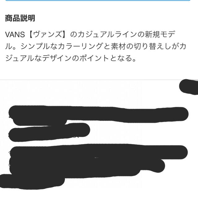 ⭐️専用⭐️        vans バンズ  RISER  V4450 9