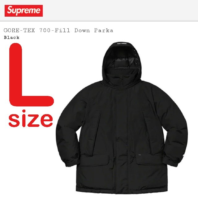 Supreme GORE-TEX 700-Fill Down Parka