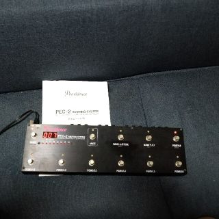 エフェクター(EFFECTOR)のprovidence pec2 スイッチャー(エフェクター)