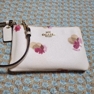 コーチ(COACH)の🎠🎠COACH コーチレディース財布、小物入れ、ポーチ🉐️👜綺麗(ポーチ)