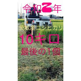 令和２年茨城県産コシヒカリ10キロ　　※　クリーン白米 （無洗米）(米/穀物)