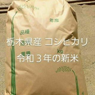 お米 令和３年 栃木県産 コシヒカリ 15キロ(米/穀物)