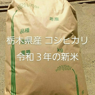 お米お米 令和３年 栃木県産 コシヒカリ 15キロ(米/穀物)