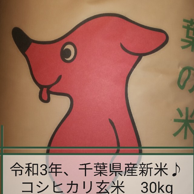 ◎令和3年千葉県産新米★コシヒカリ／玄米30㎏◎谷津田ちのお米♪☆ラスト1点米/穀物