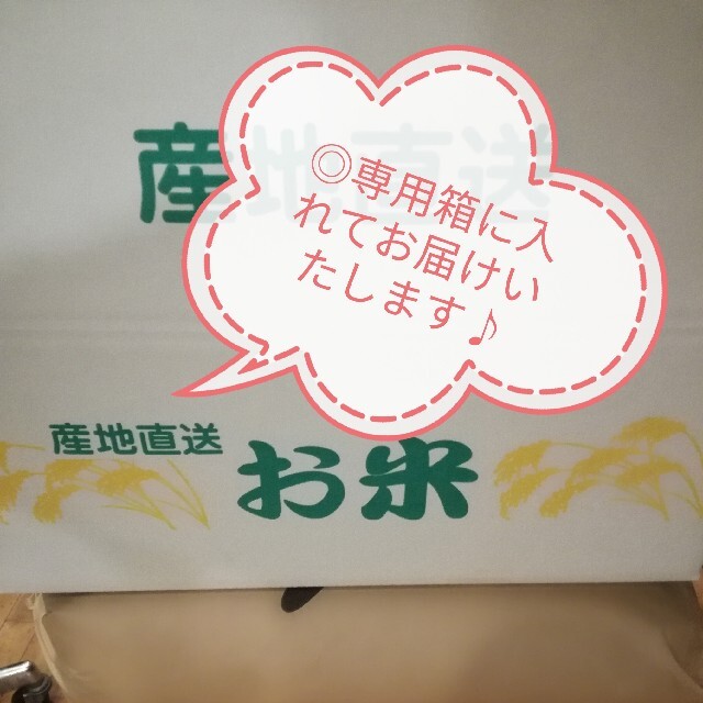 ◎令和3年千葉県産新米★コシヒカリ／玄米30㎏◎谷津田で育てた自慢のお米(^^♪