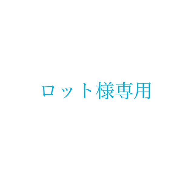 専用ですその他