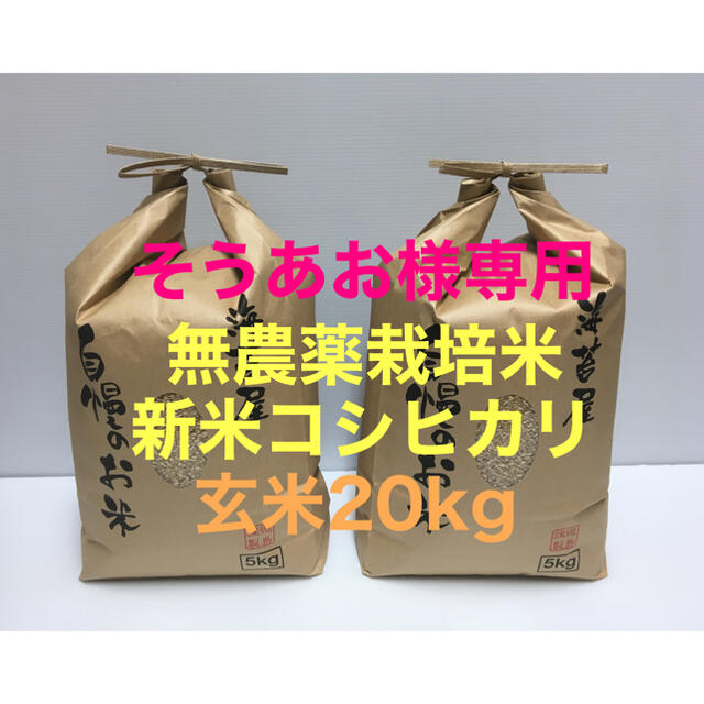 評価 白米5キロ 令和3年 徳島県産 コシヒカリ 減農薬 daterskate.com.ar