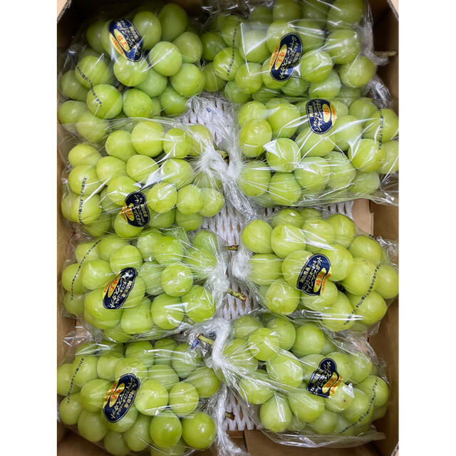 激安価格!岡山県産【シャインマスカット】優品 8房 5kg!の通販 by Mr