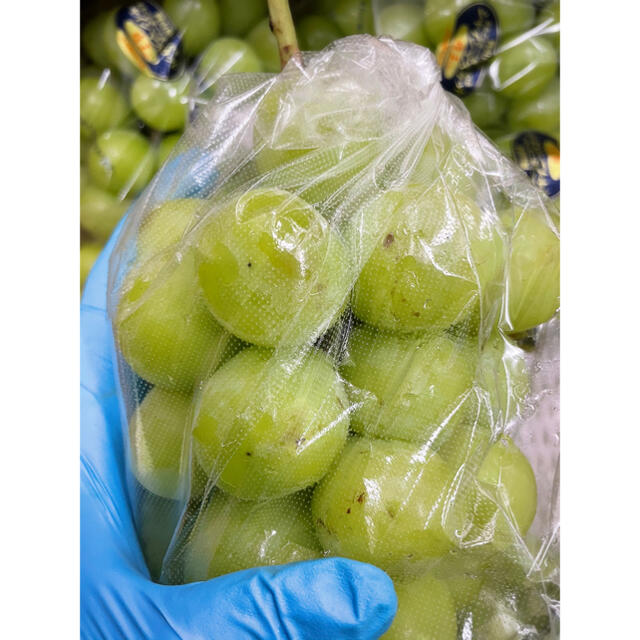 激安価格!岡山県産【シャインマスカット】優品 8房 5kg!