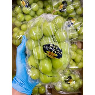 激安価格!岡山県産【シャインマスカット】優品 8房 5kg!の通販 by Mr
