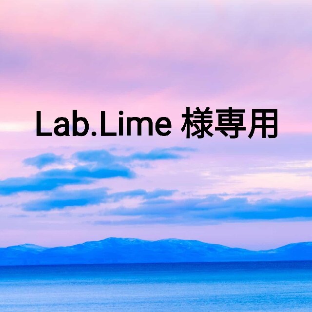 the saem(ザセム)のLab.Lime 様専用 コスメ/美容のベースメイク/化粧品(コンシーラー)の商品写真