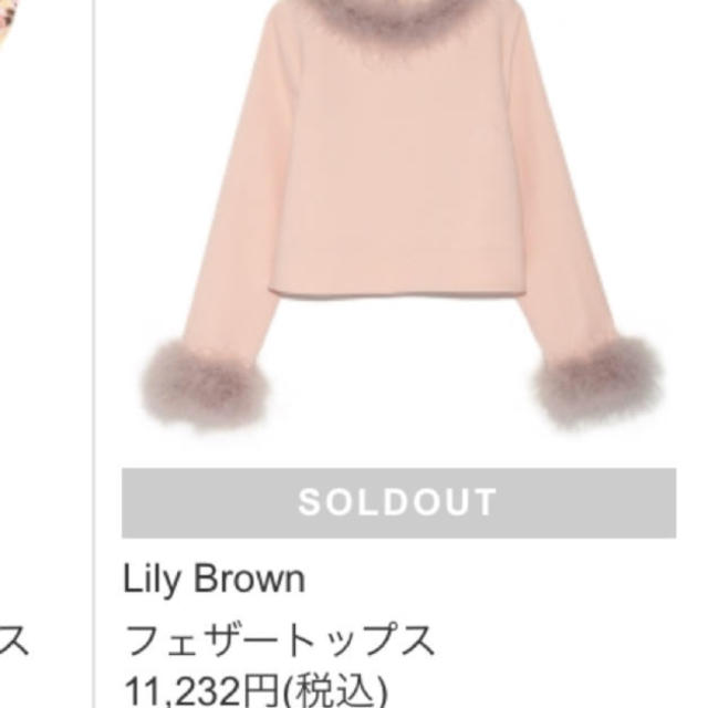 Lily Brown(リリーブラウン)のlilybrown フェザートップス レディースのトップス(カットソー(長袖/七分))の商品写真