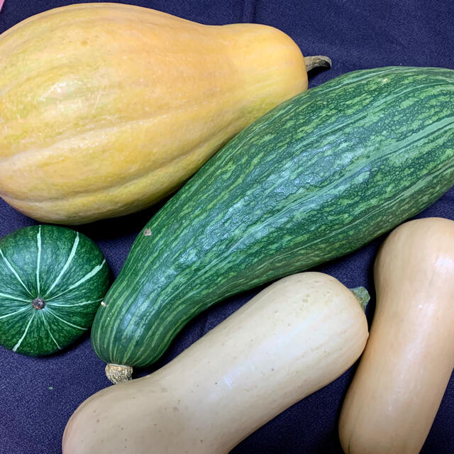 畑直送無農薬栽培野菜 食品/飲料/酒の食品(野菜)の商品写真