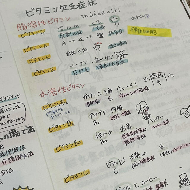 看護師国家試験絶対合格極秘ノート㊙️合格保証付き【全額返金】