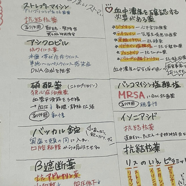 看護師国家試験絶対合格極秘ノート㊙️合格保証付き【全額返金】【看護学生】